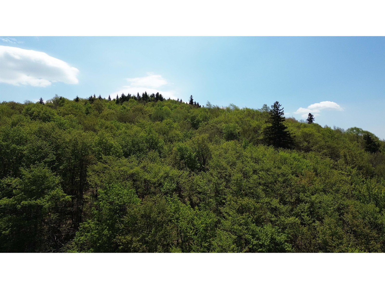2016 Roxbury Mountain Road