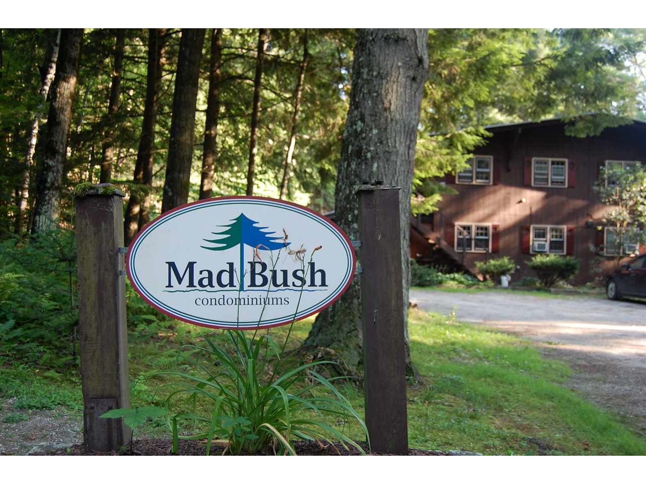 203 Madbush, Unit 203