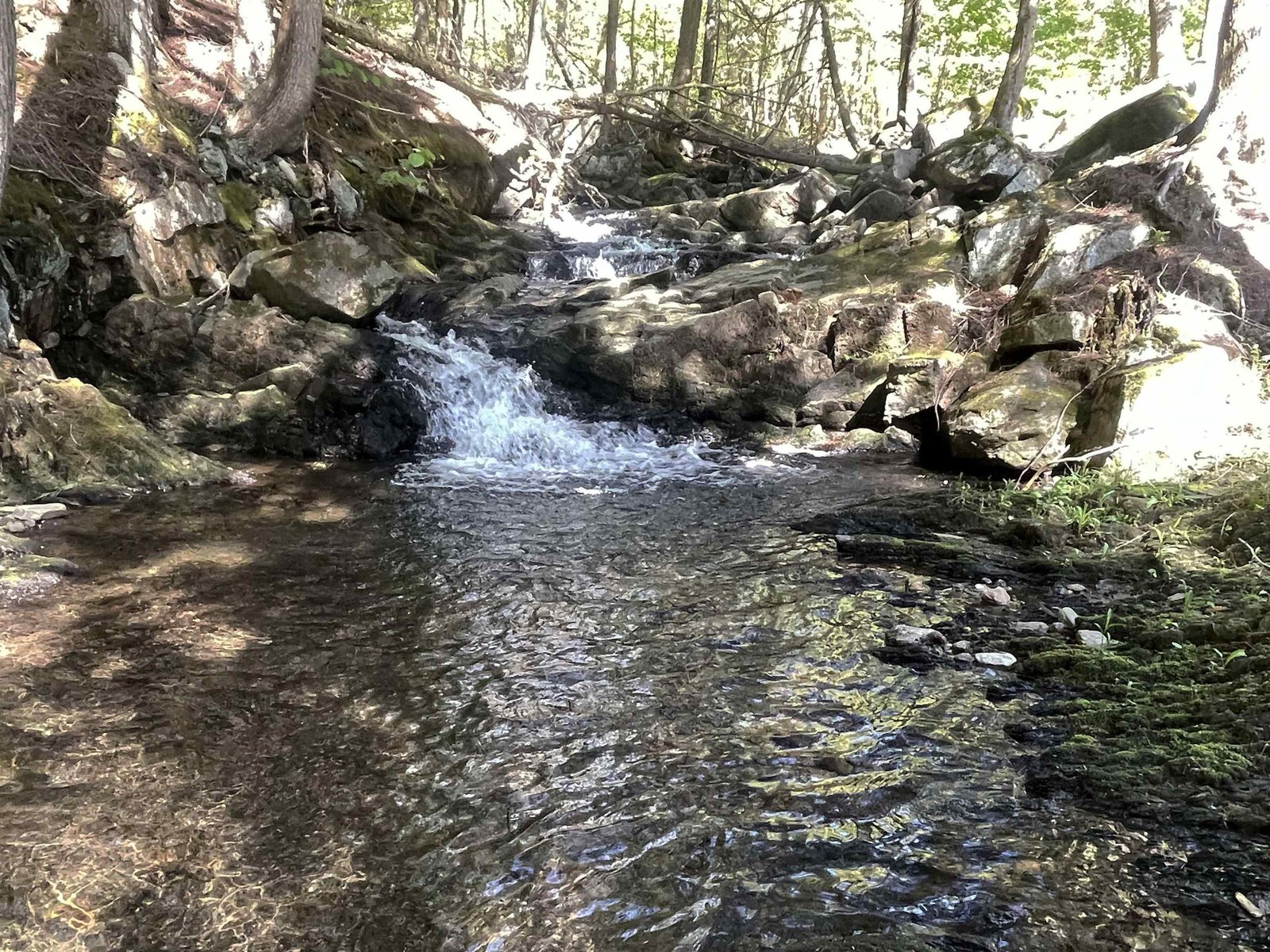 Brook is on neighboring property