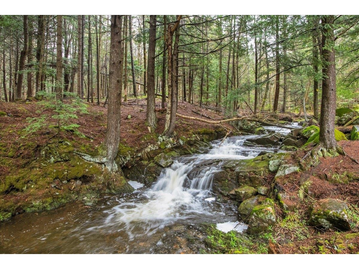 Brook is on neighboring property