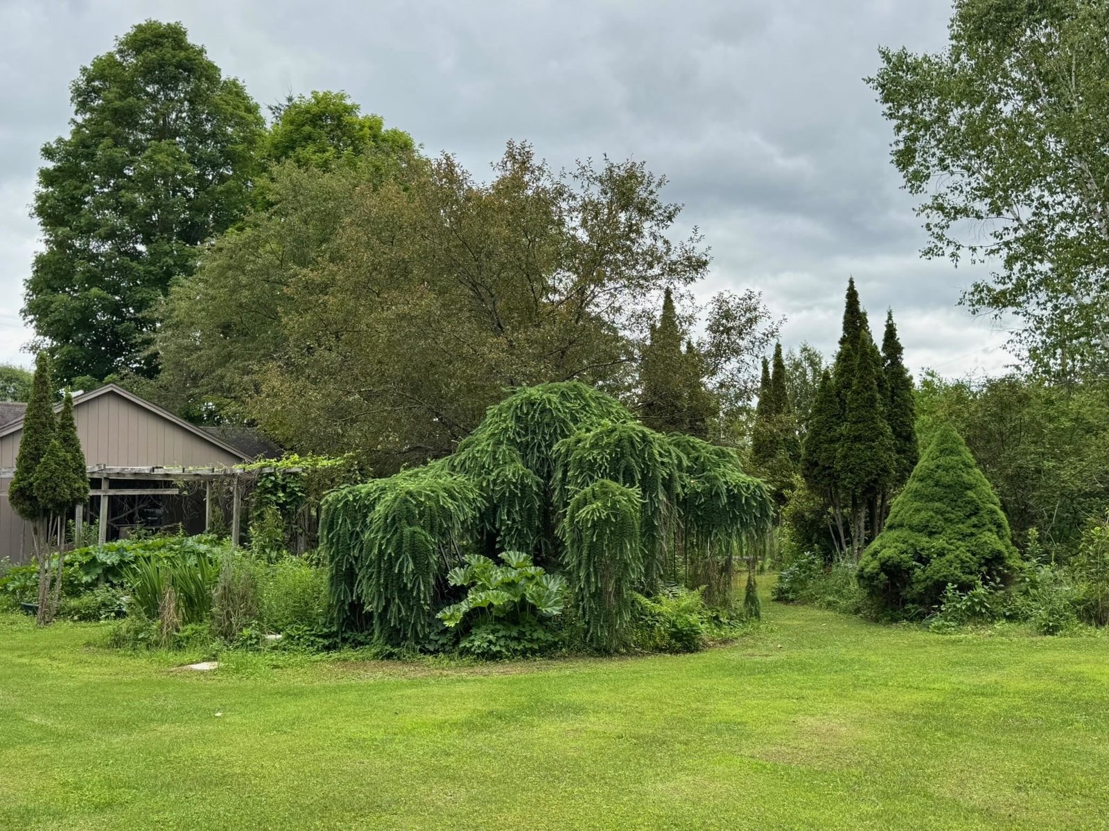 205 Loomis Hill Road