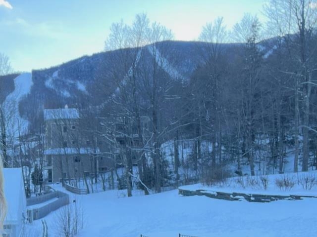 205 Mountainside Drive, Unit 35