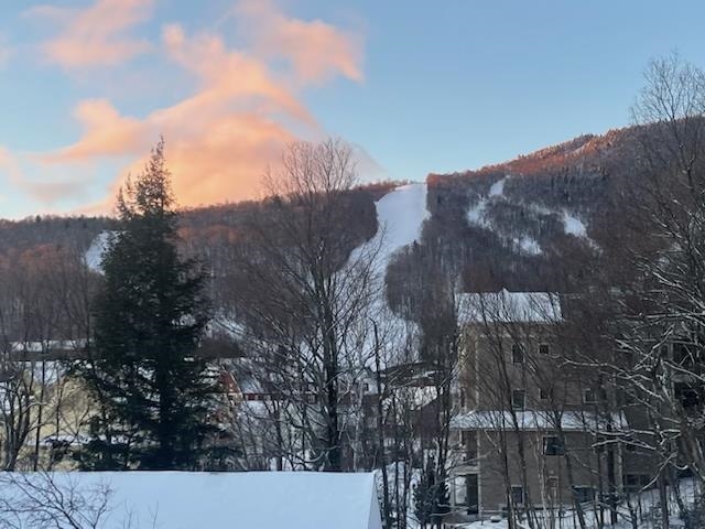 205 Mountainside Drive, Unit 35