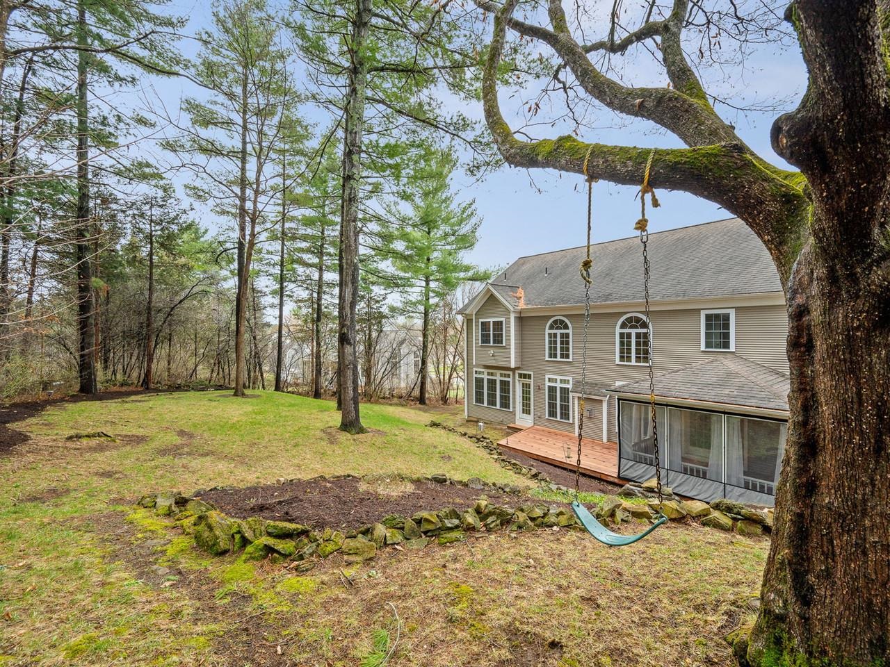 Wooded Backyard