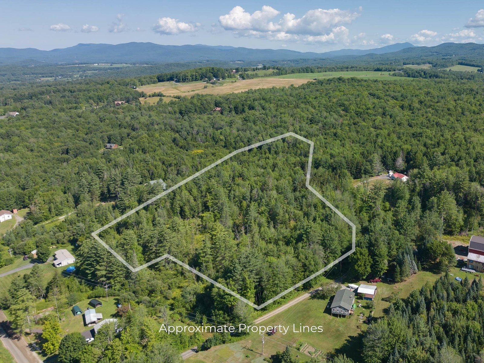 206 White Pine Lane