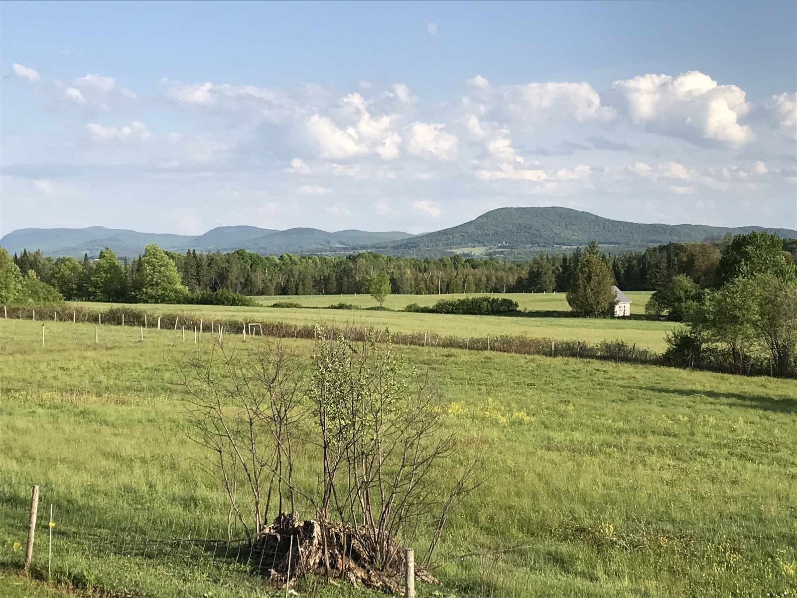 Gorgeous View
