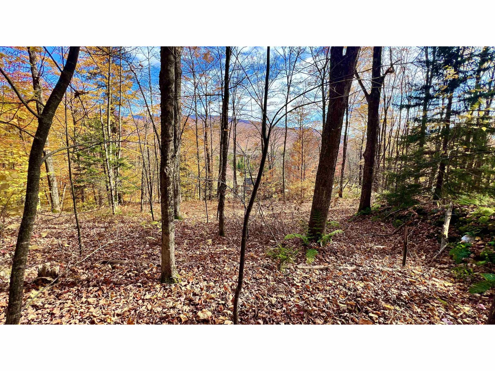 2075 Codding Hollow Road