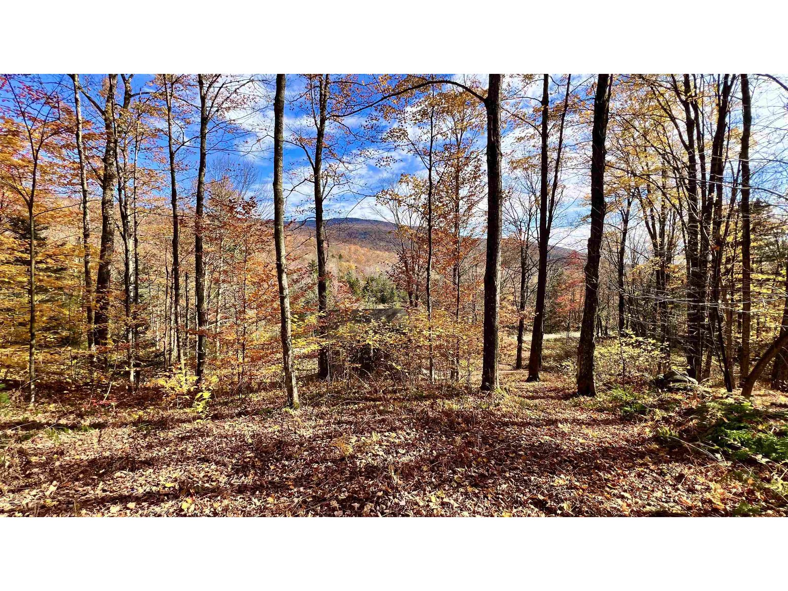 2075 Codding Hollow Road