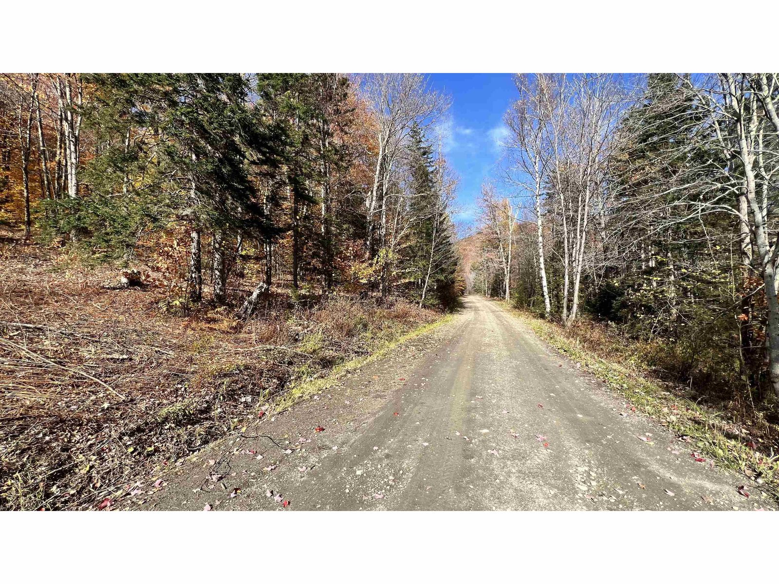 2075 Codding Hollow Road