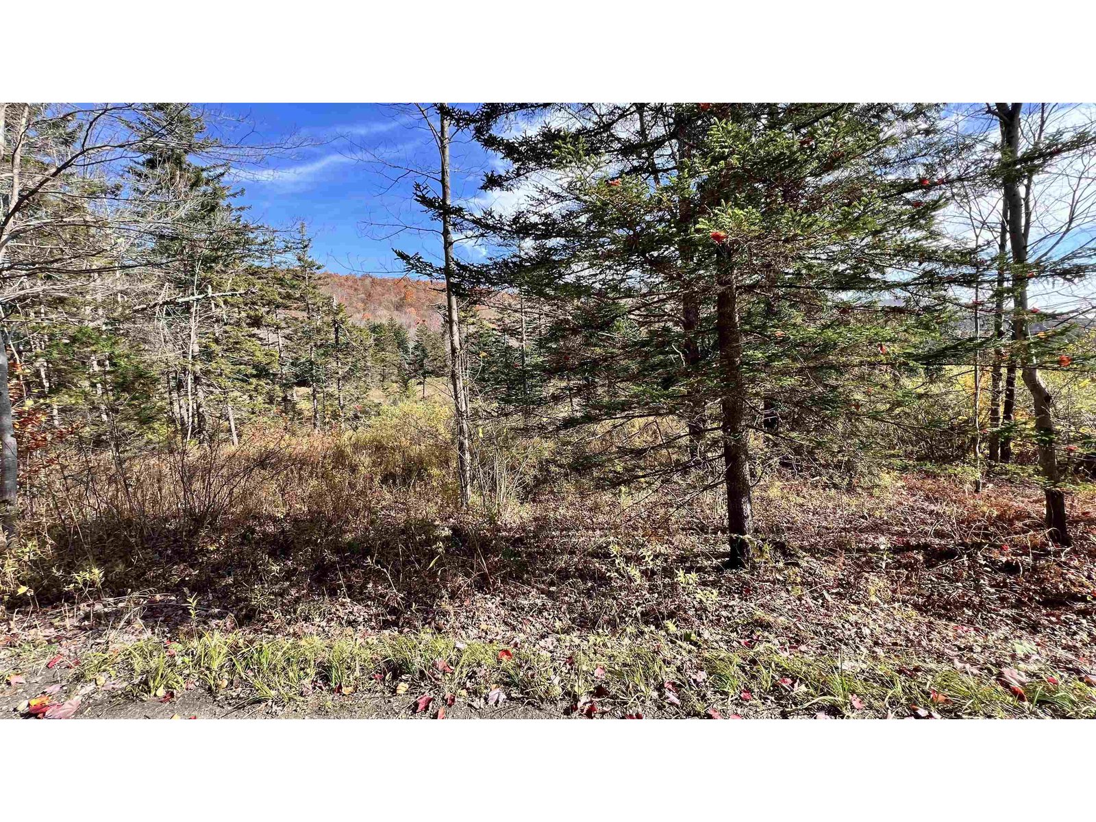 2075 Codding Hollow Road