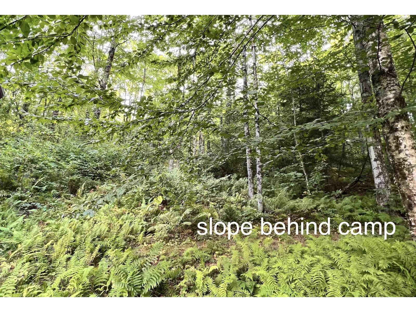 2075 Codding Hollow Road