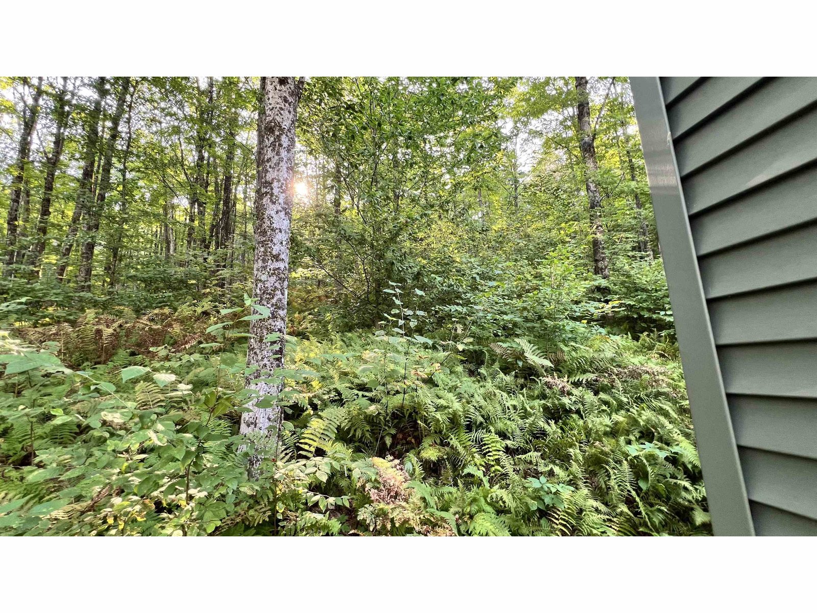 2075 Codding Hollow Road