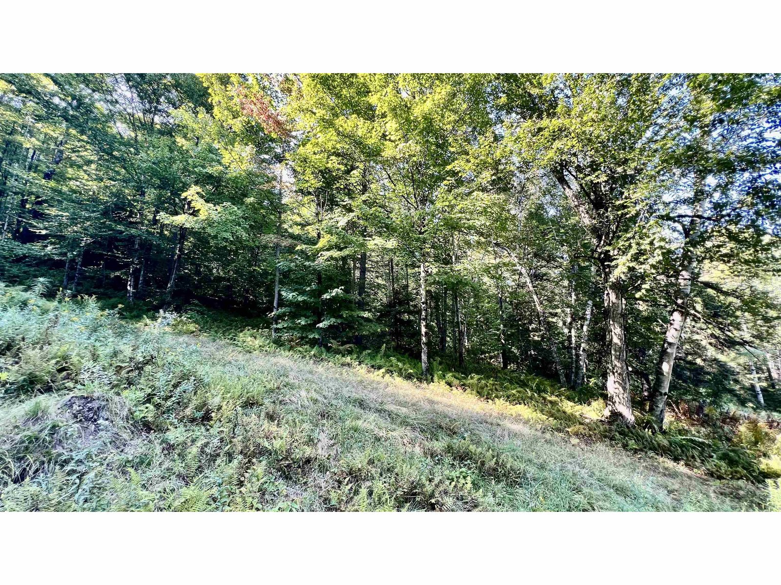 2075 Codding Hollow Road