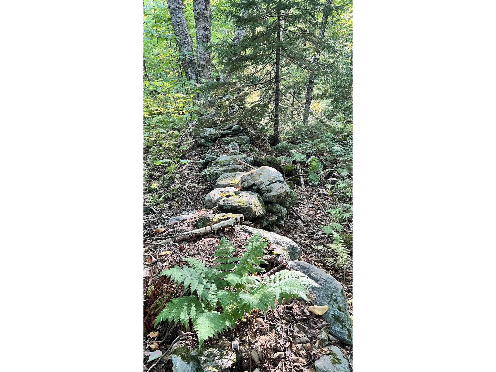 1800's era stone walls