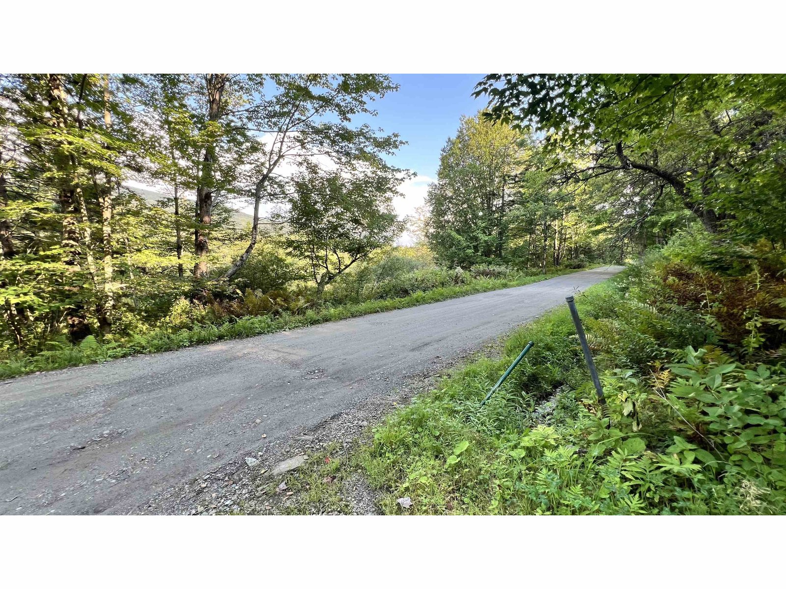 looking S on Codding Hollow Rd