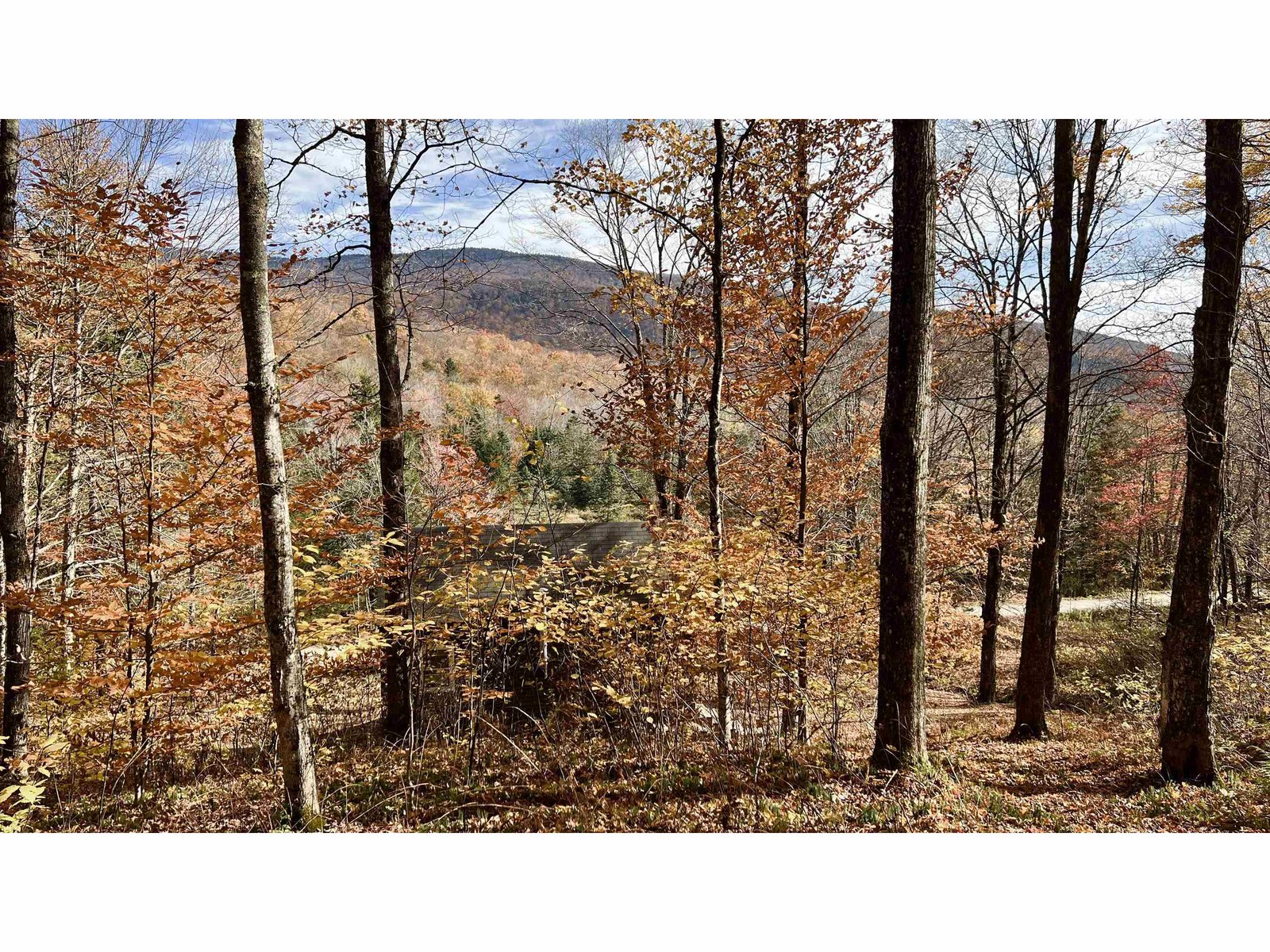 2075 Codding Hollow Road
