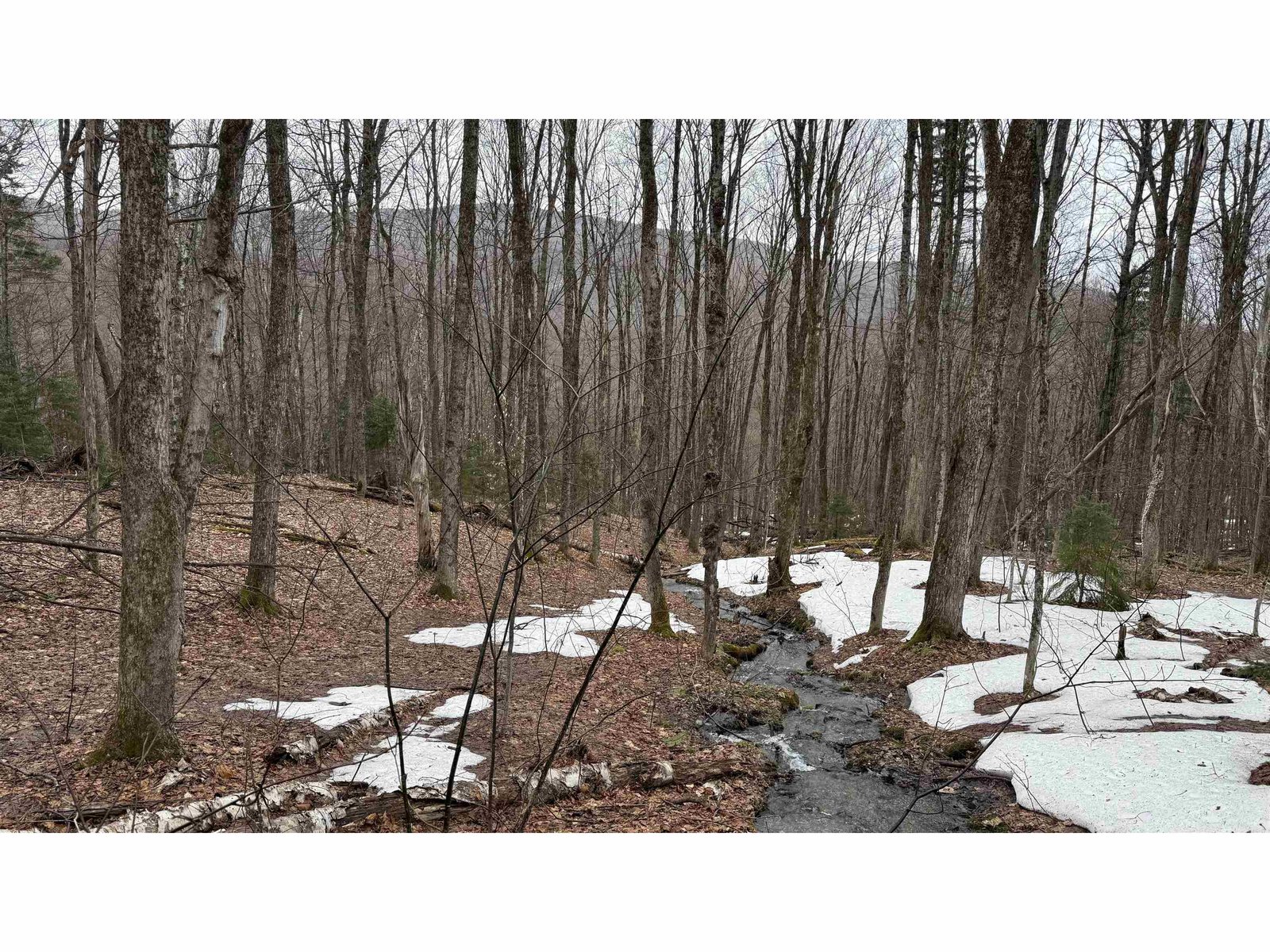 2075 Codding Hollow Road