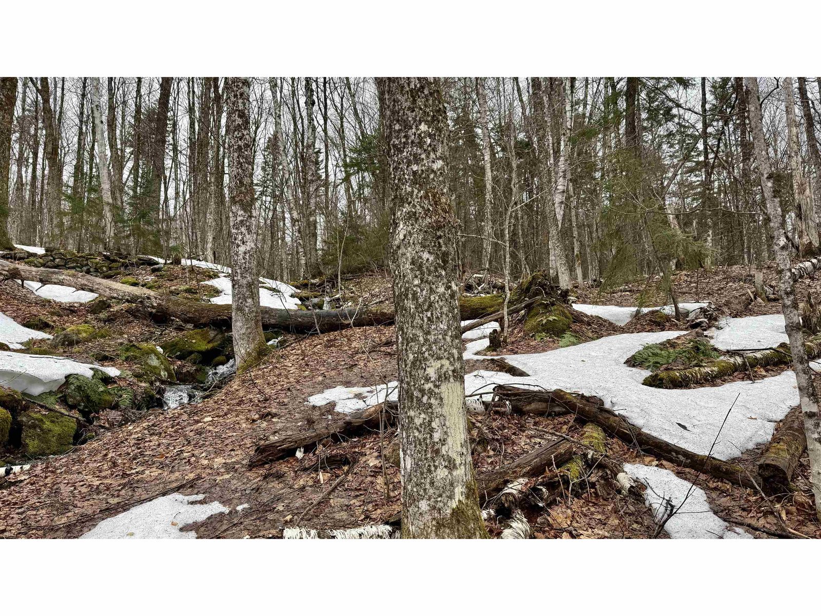 2075 Codding Hollow Road