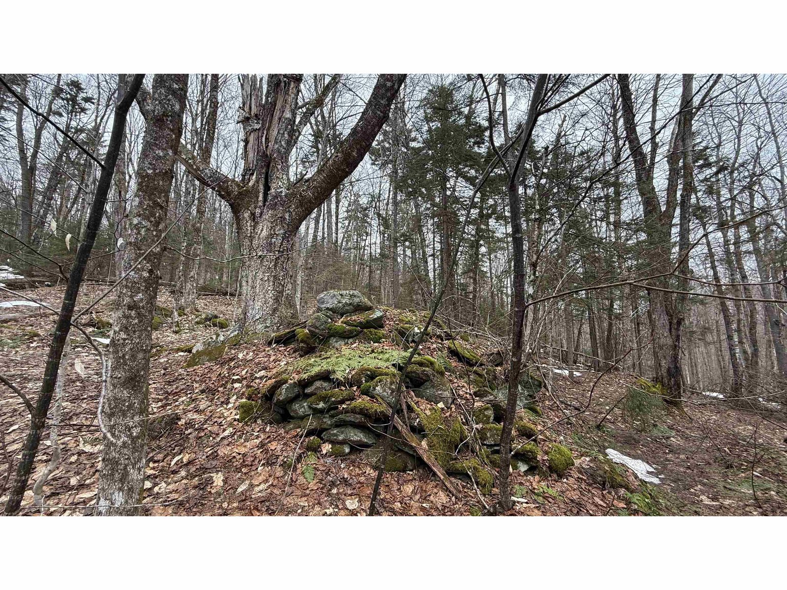 2075 Codding Hollow Road