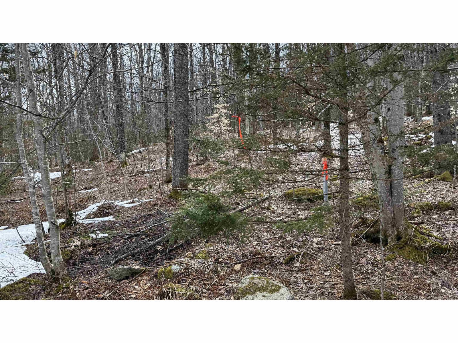 NE corner stake at road