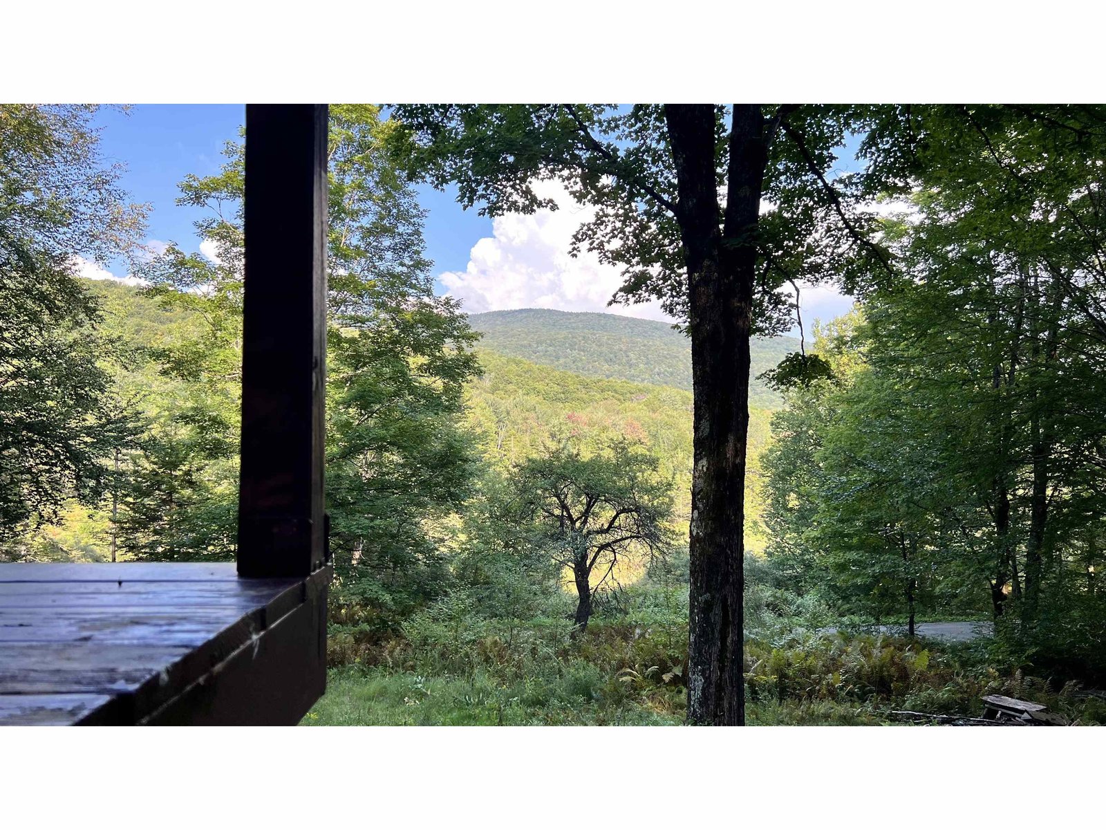 front porch view