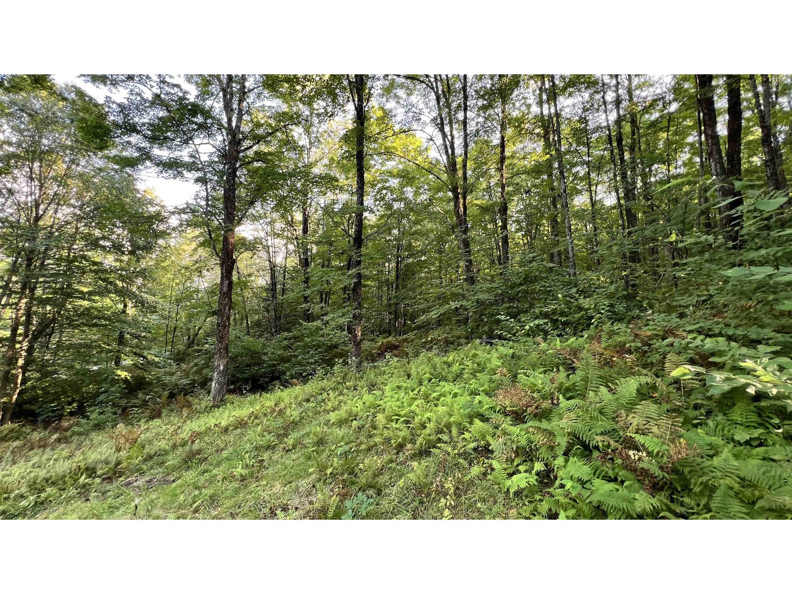 2075 Codding Hollow Road