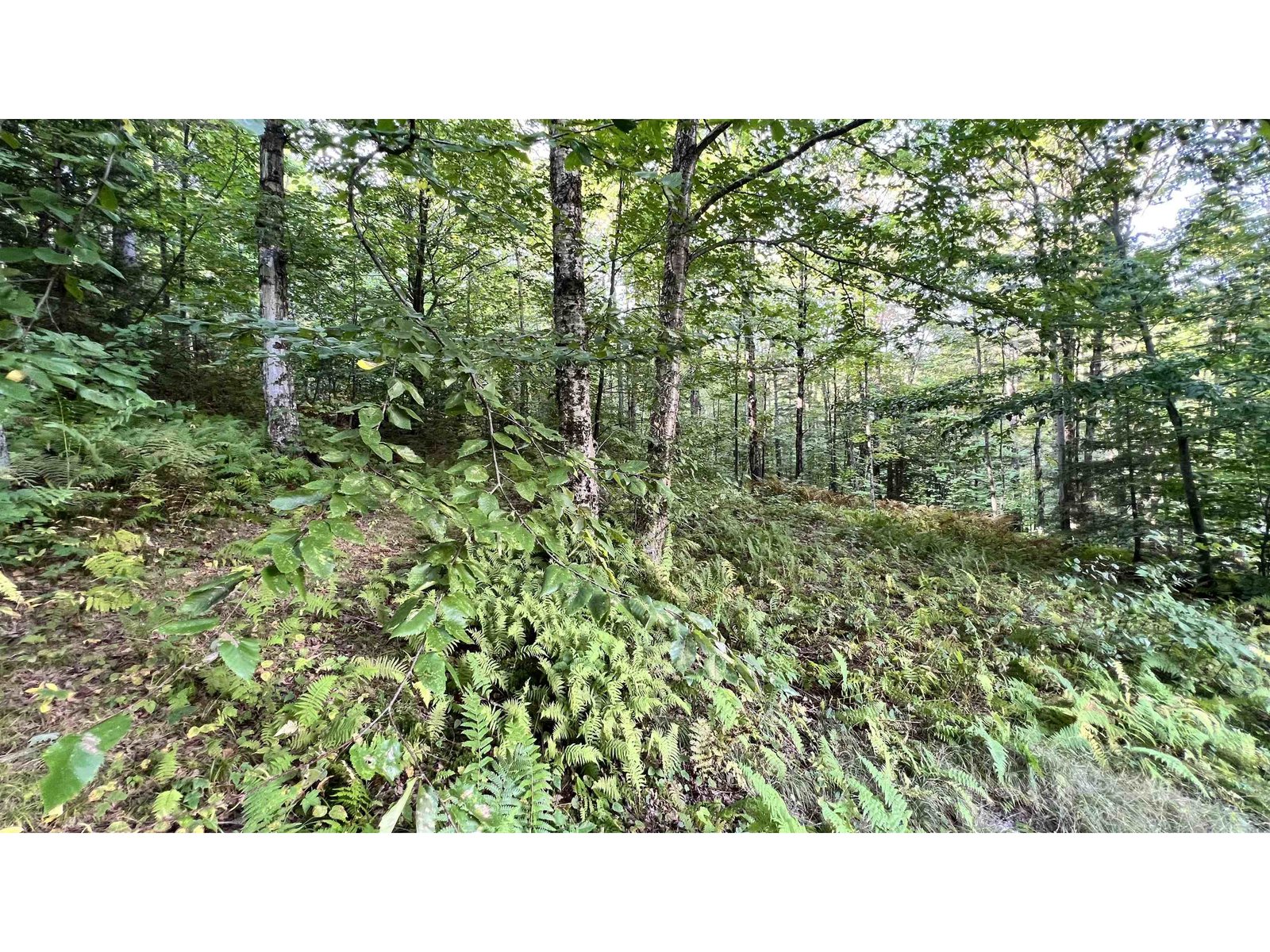 2075 Codding Hollow Road