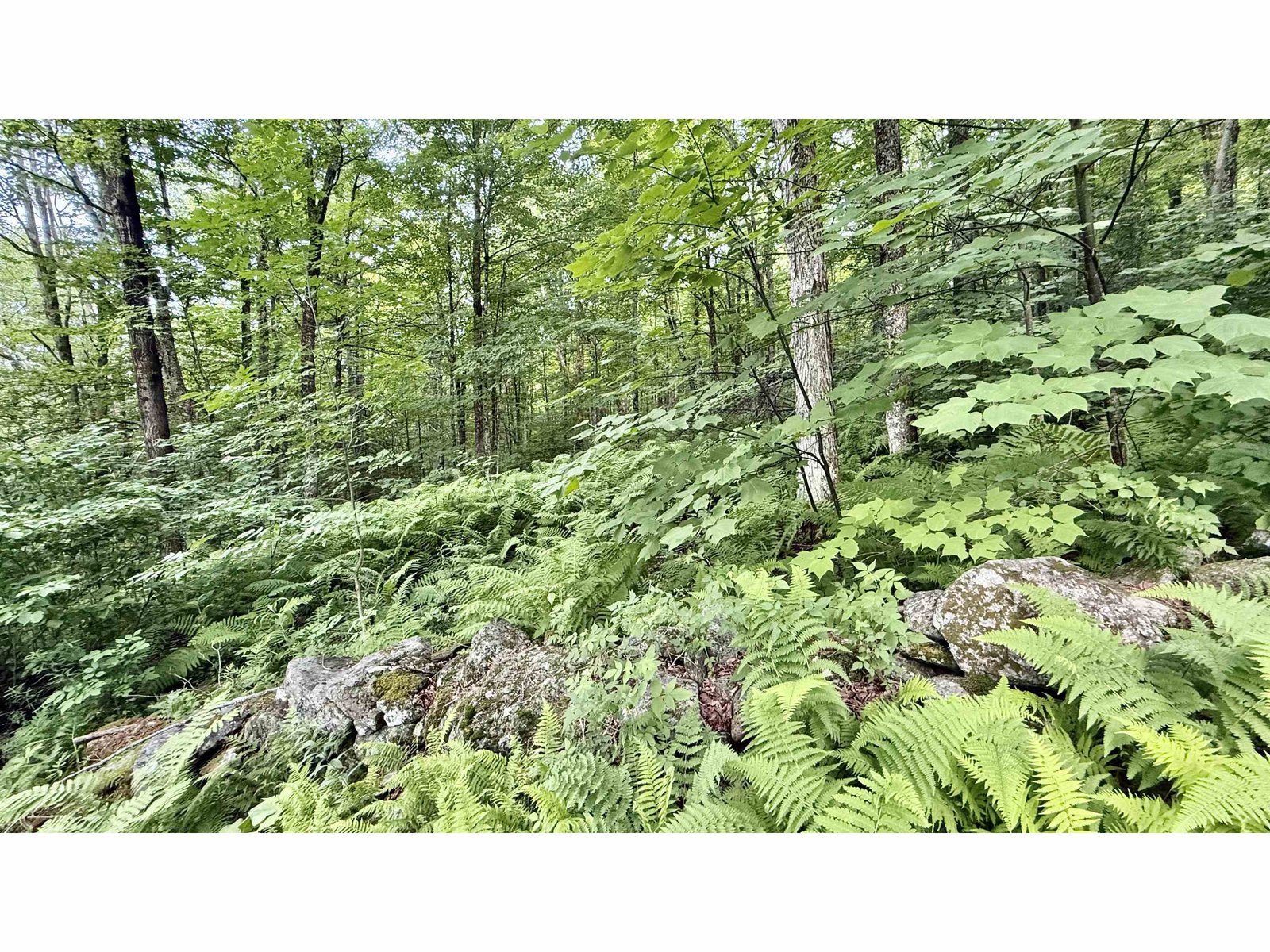 2075 Codding Hollow Road