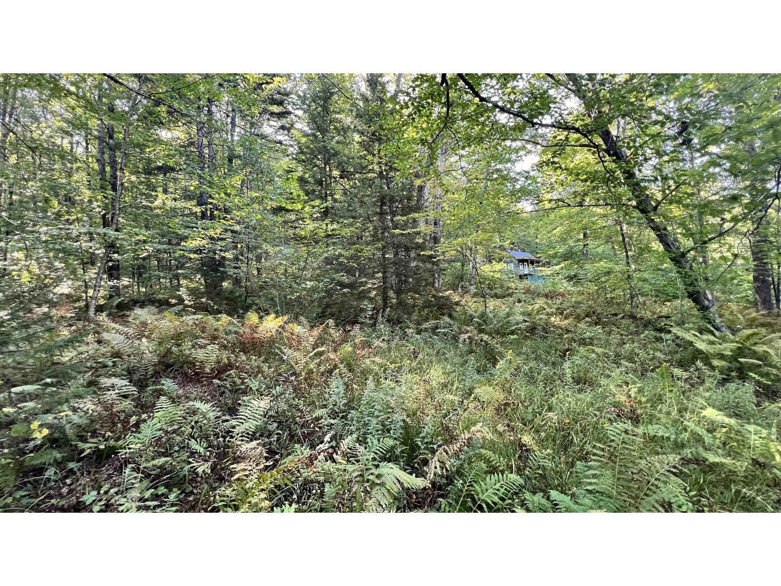2075 Codding Hollow Road