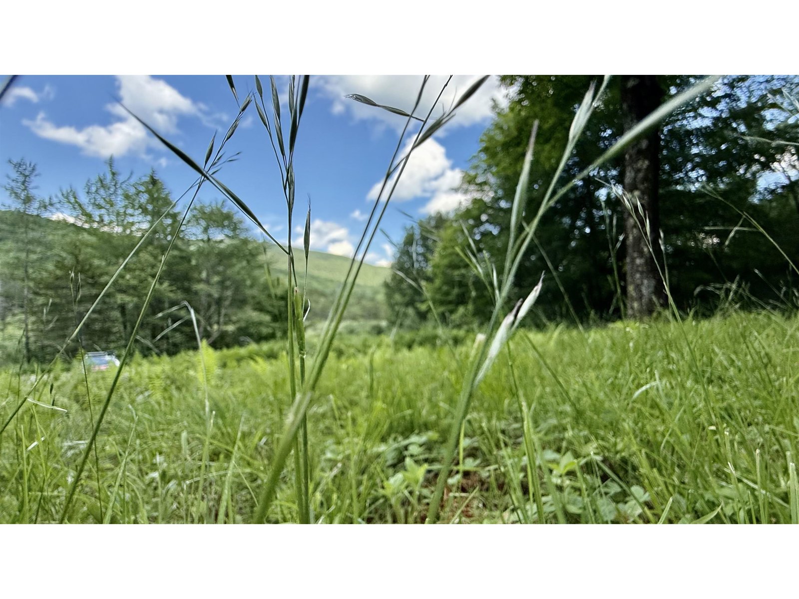 2075 Codding Hollow Road