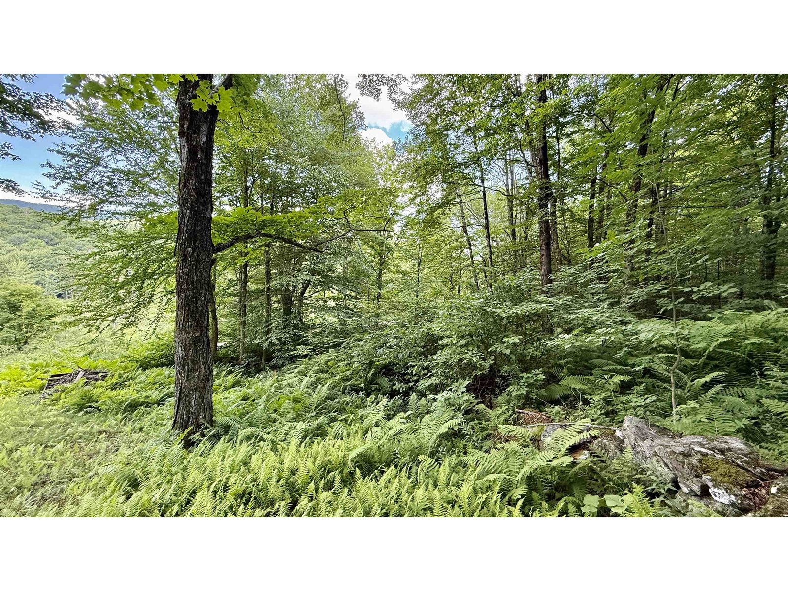2075 Codding Hollow Road