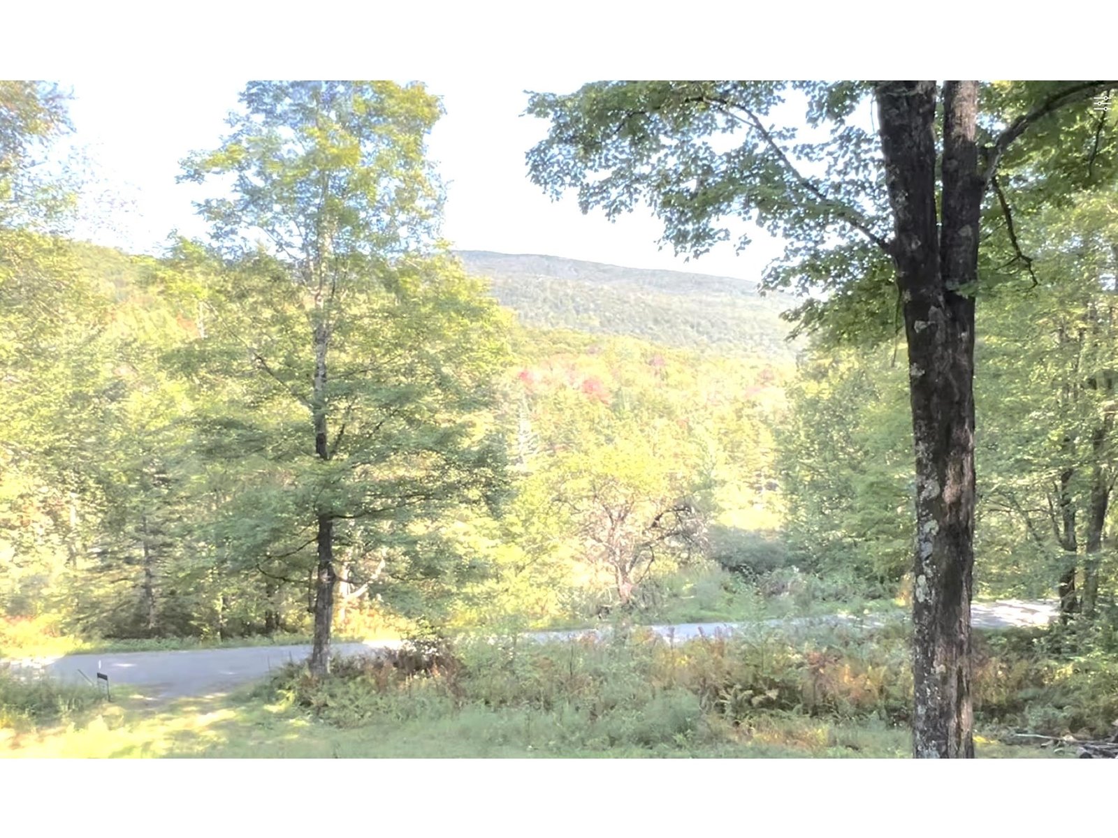 2075 Codding Hollow Road
