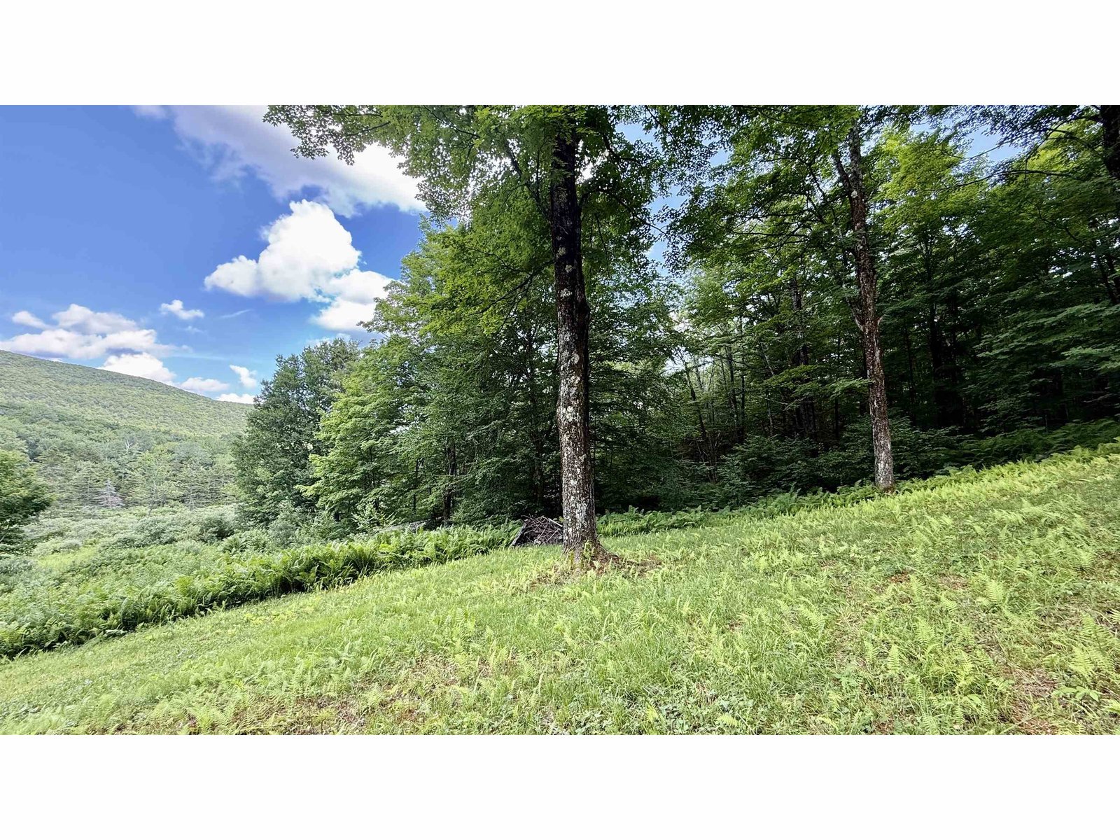 2075 Codding Hollow Road