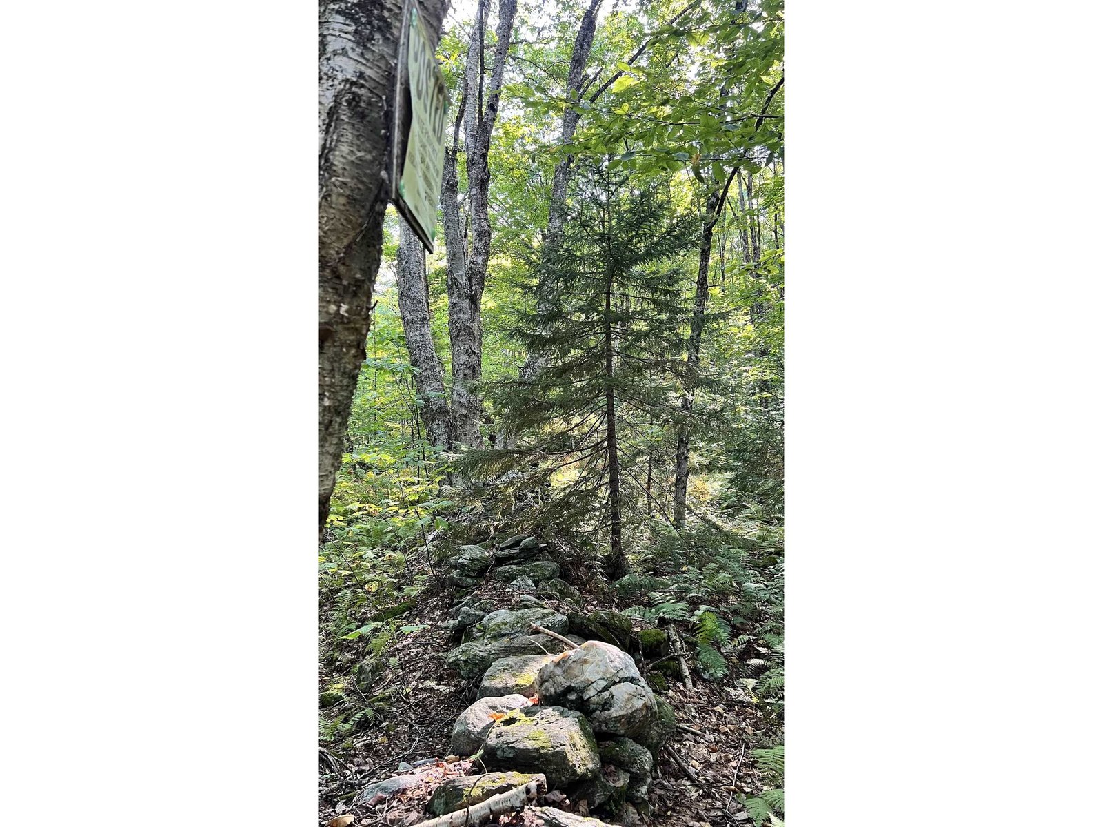 stone wall on Southern parcel line