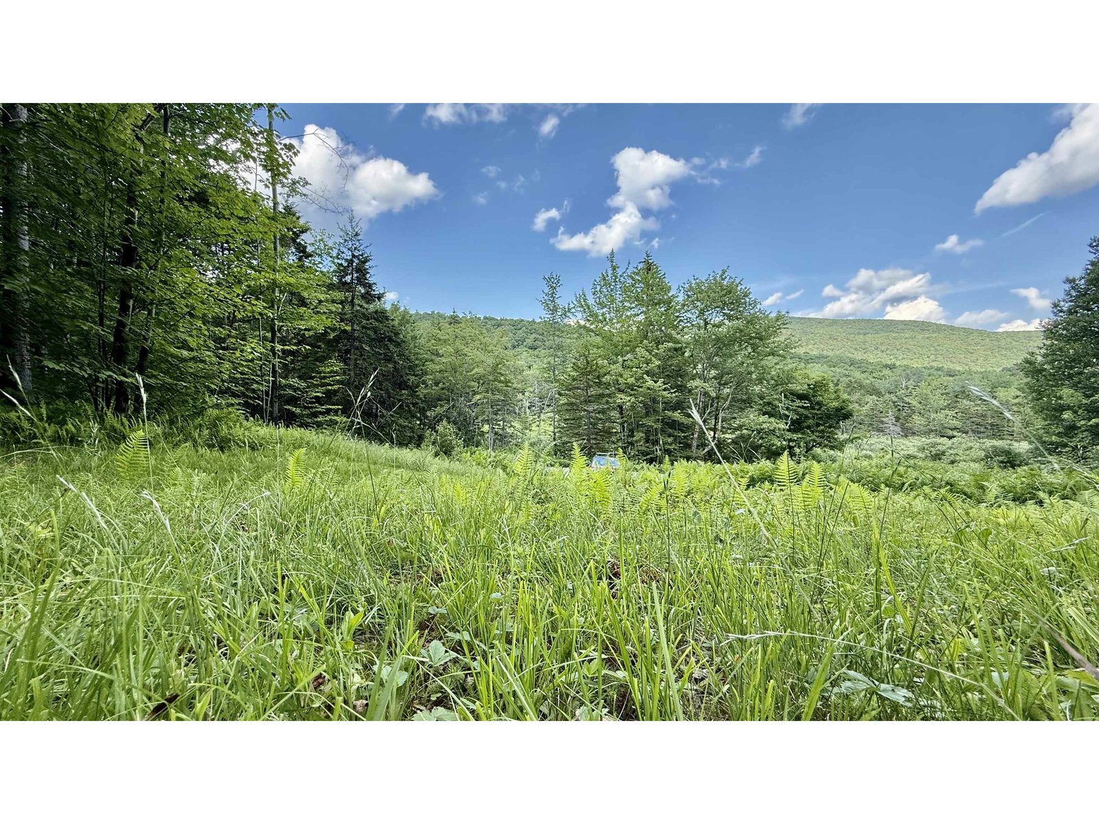2075 Codding Hollow Road