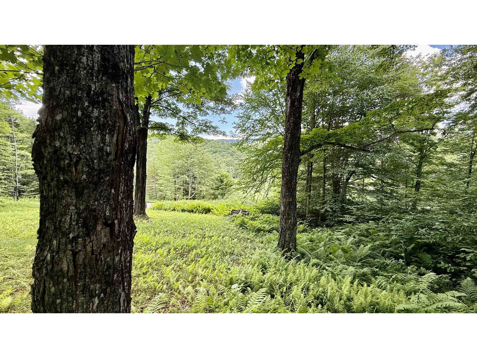2075 Codding Hollow Road