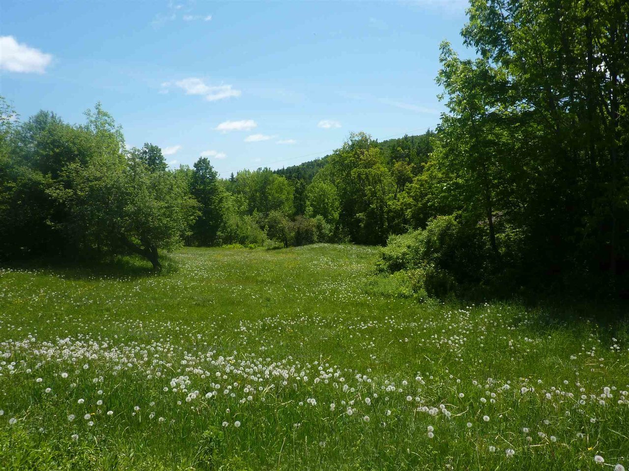 2078 Warren Mountain Road