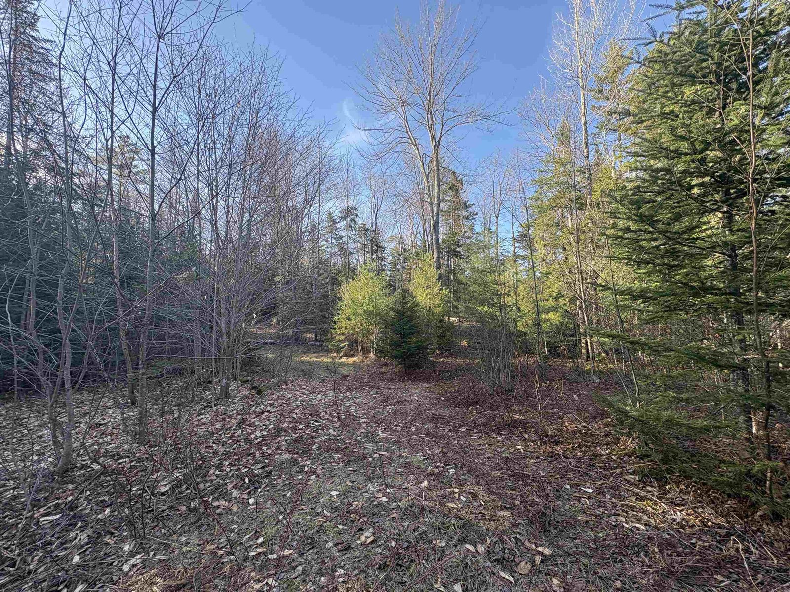 208 Drake Place Road