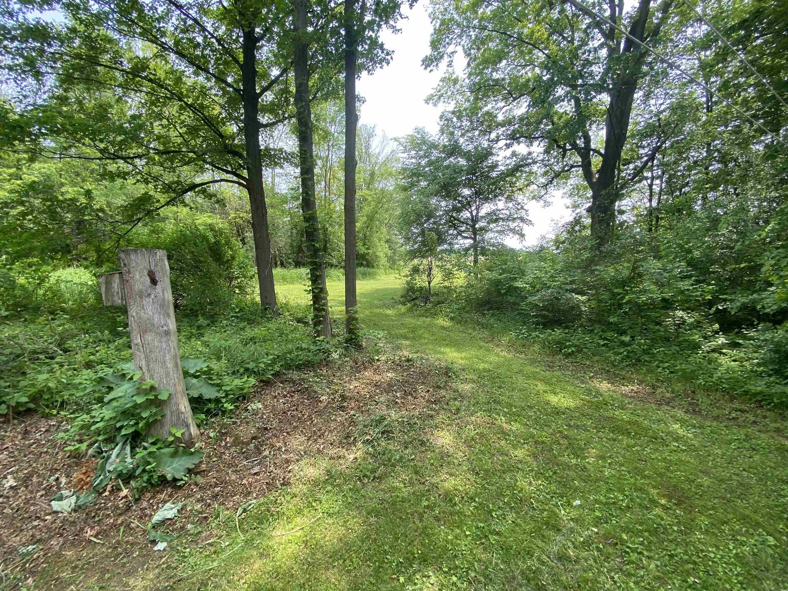 208 Little Woods Road
