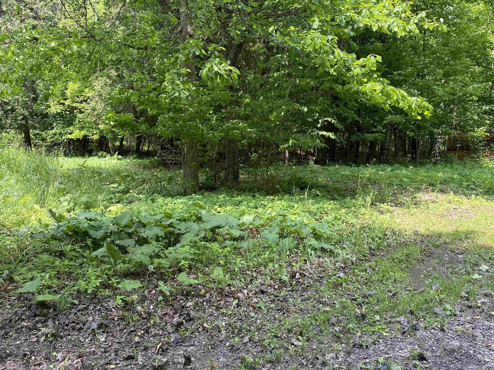 208 Little Woods Road