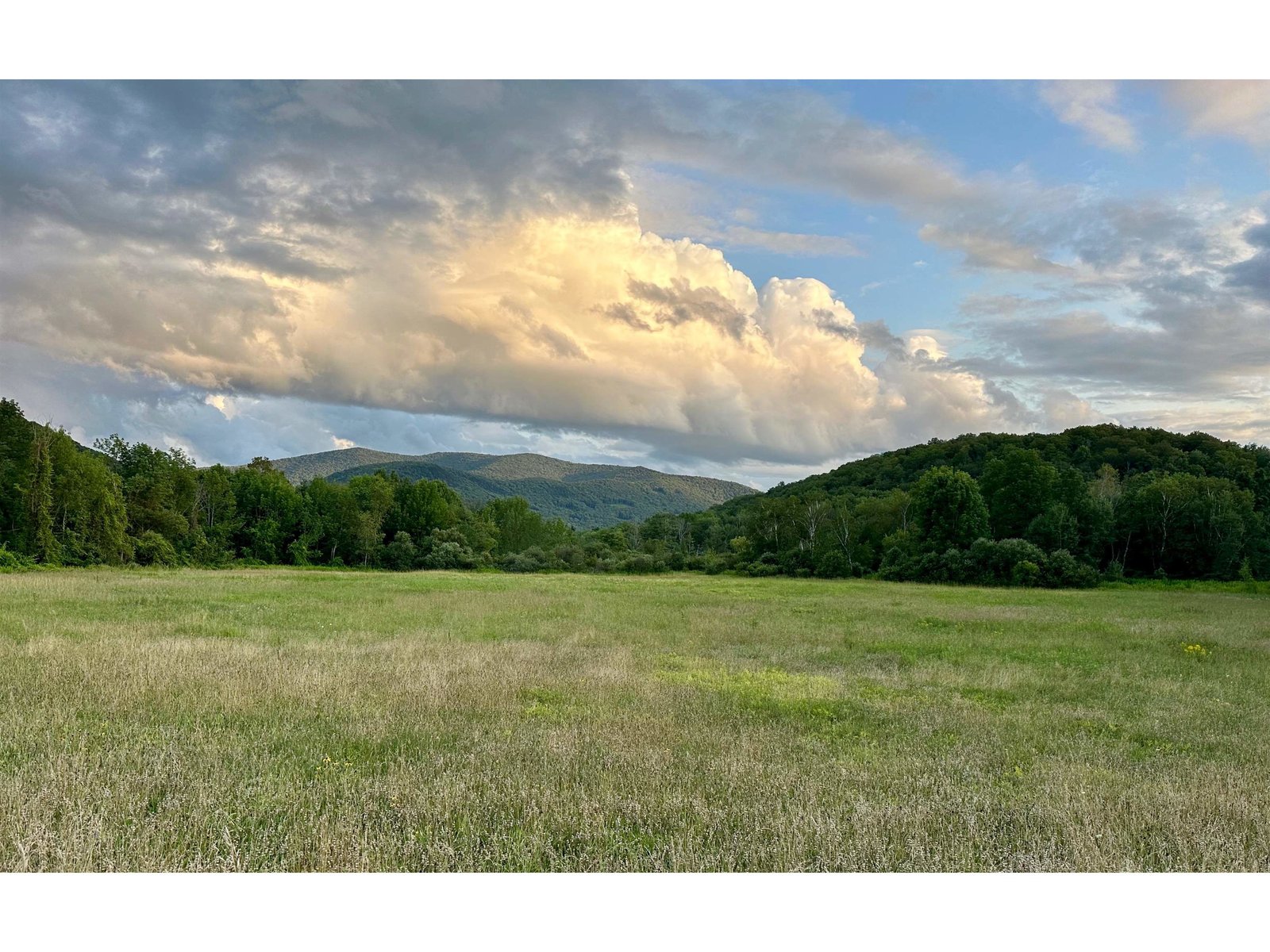 Beautiful flat meadow - ideal for horses etc