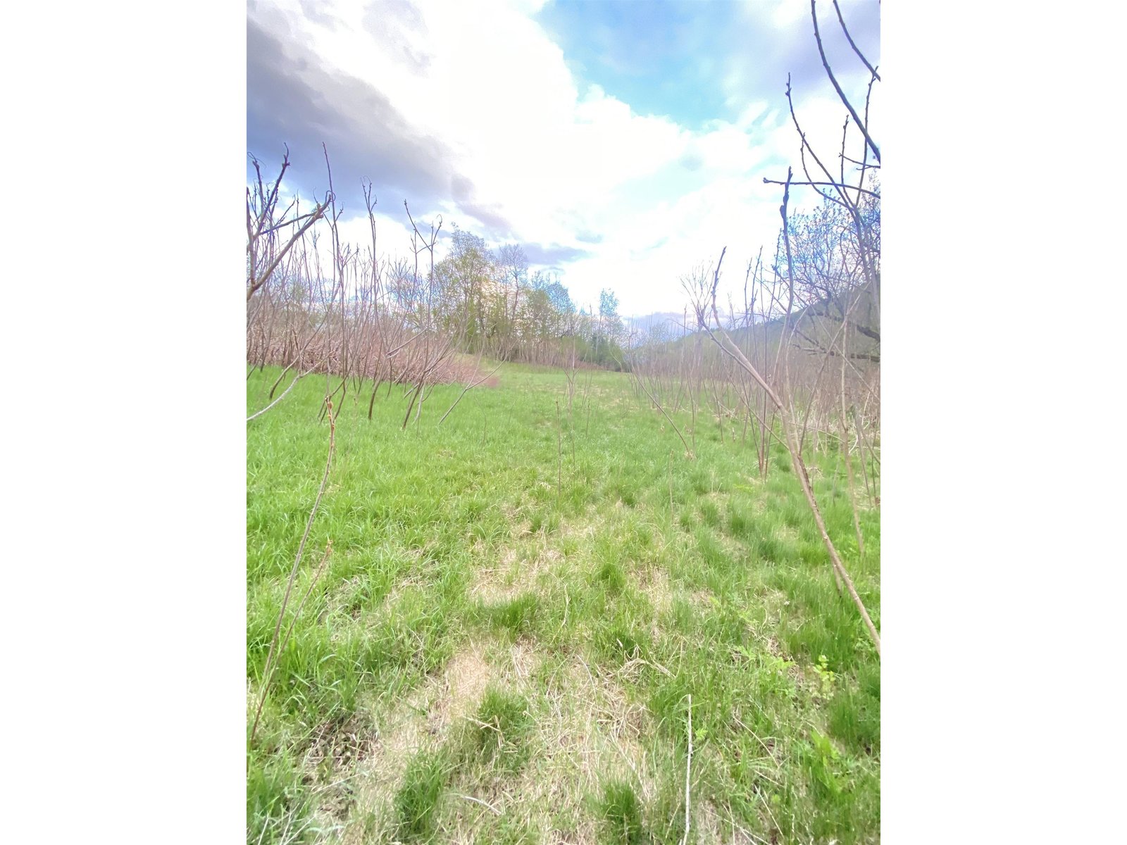 2095 Vermont Route 14