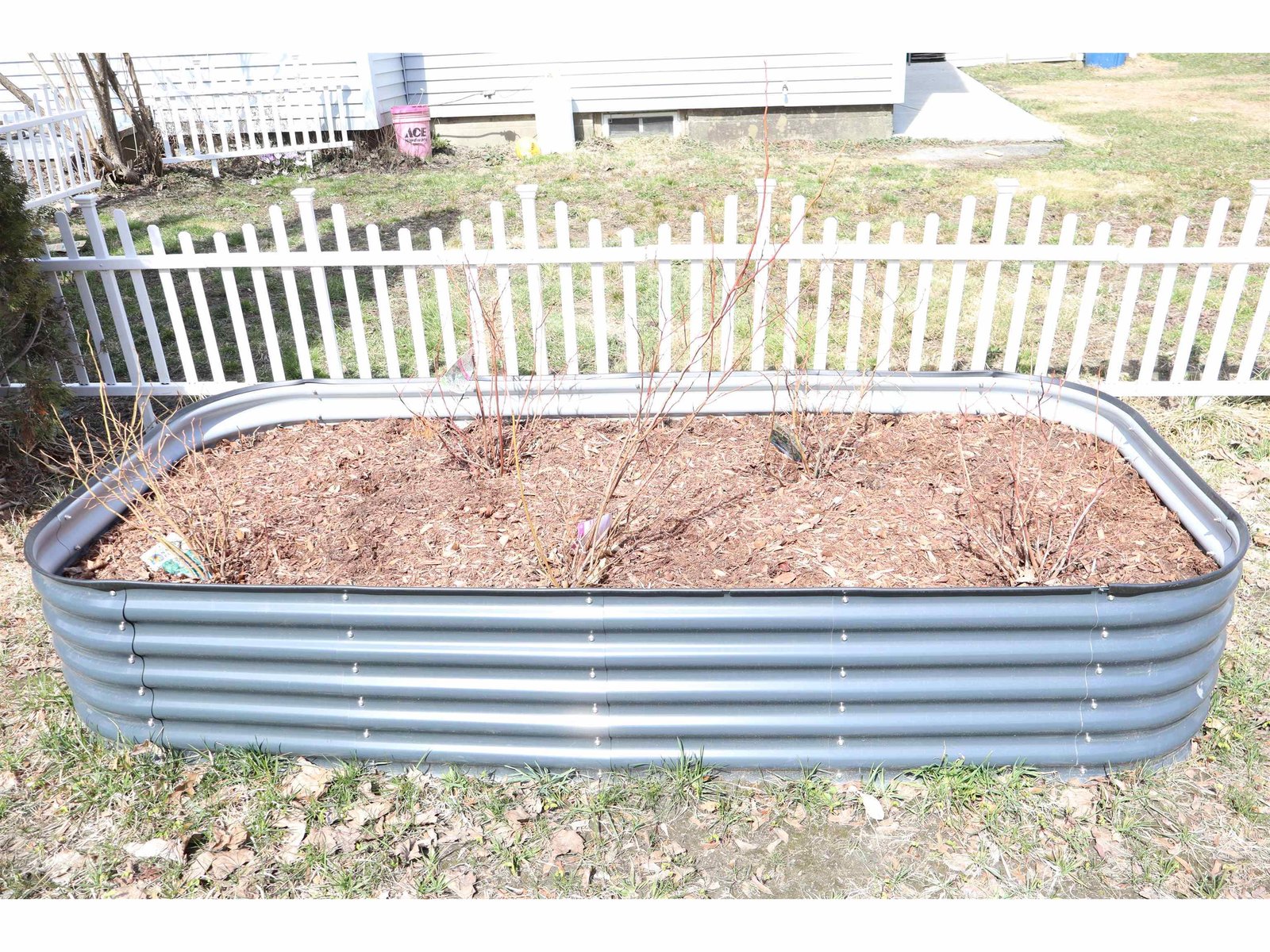 raised garden beds