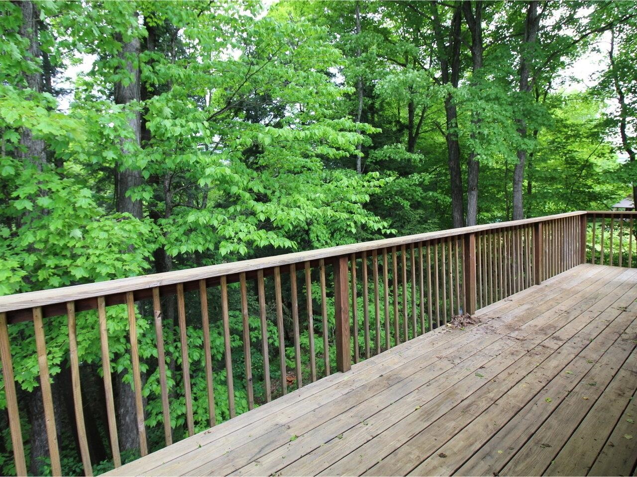Overlooking the Woods