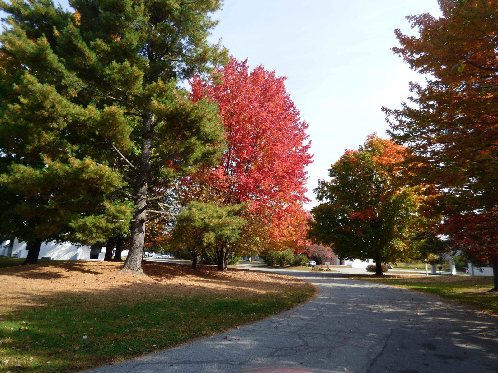 210 Village Green Drive, Unit 9D