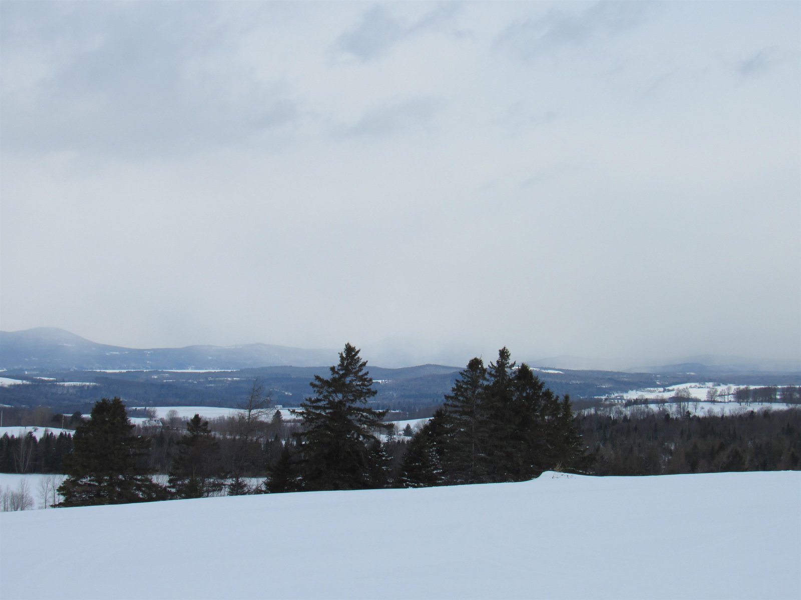 Wide Spanding Views