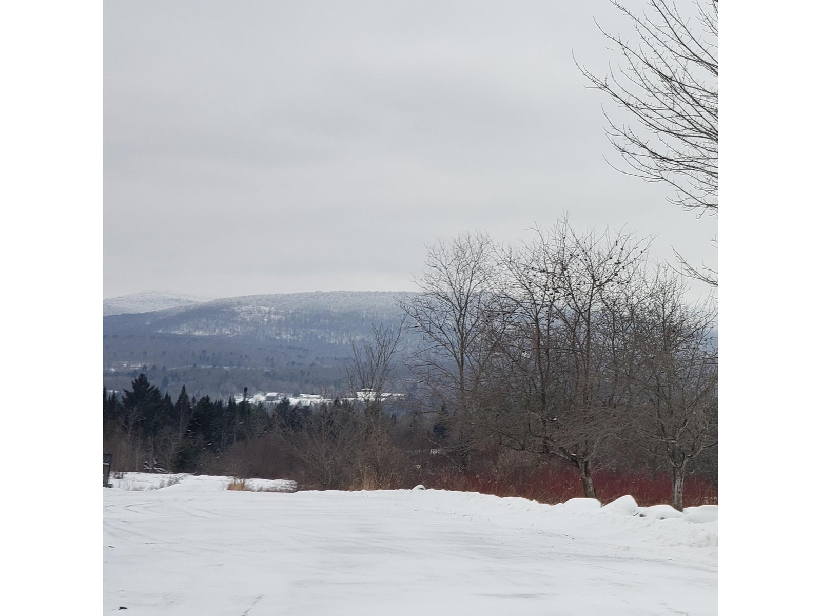 211 Mary Deuso Road