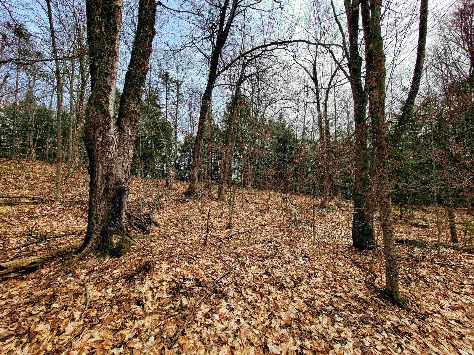 211 Poker Hill Road
