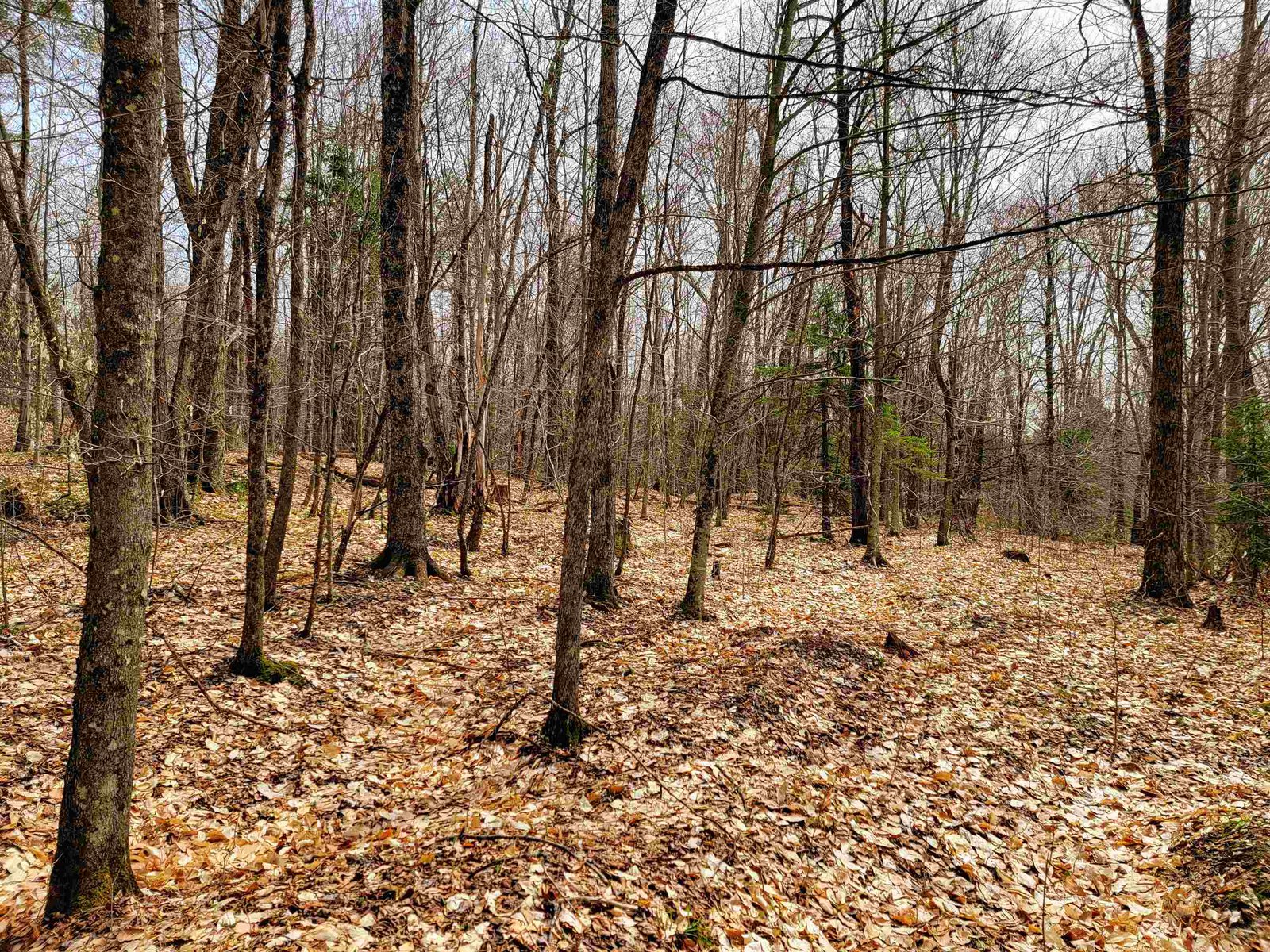 211 Poker Hill Road