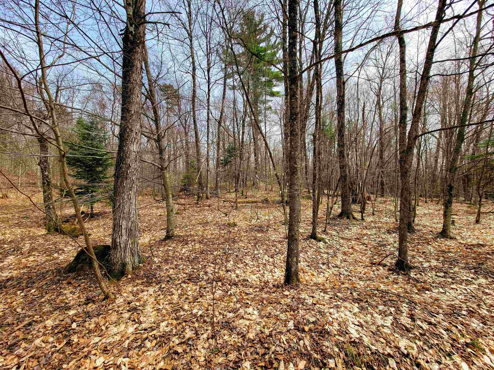 211 Poker Hill Road